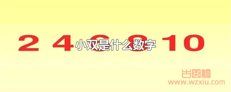 小双是什么数字？