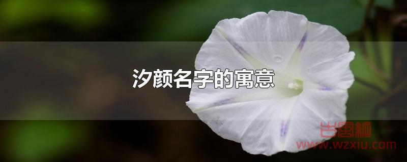 汐颜名字的寓意是什么？