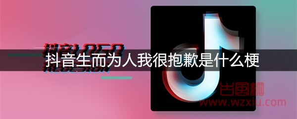 抖音生而为人我很抱歉是什么梗？有什么意思？