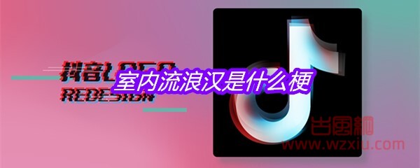 室内流浪汉是什么梗？有什么意思？