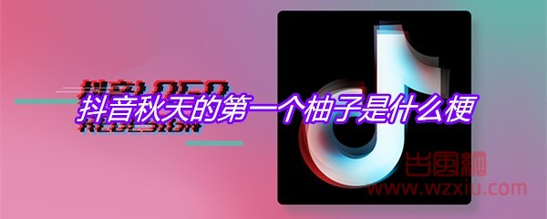 抖音秋天的第一个柚子是什么梗？有什么意思？