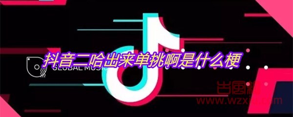 抖音二哈出来单挑啊是什么梗？有什么意思？